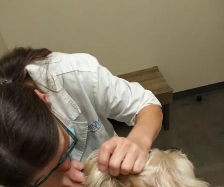Vetco Total Care Animal Hospital