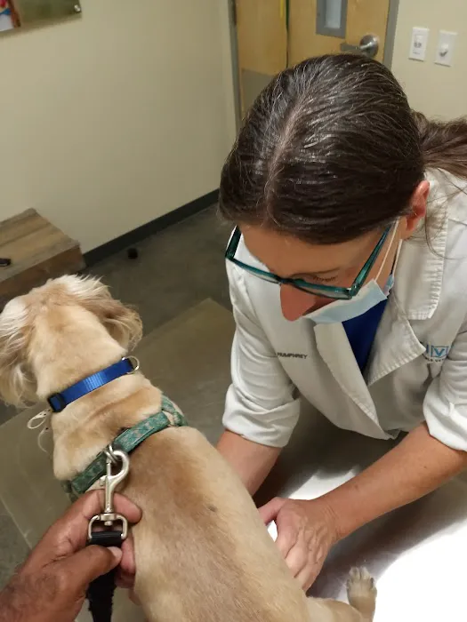 Vetco Total Care Animal Hospital Picture 3