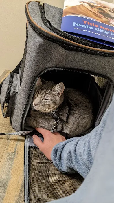 Vetco Total Care Animal Hospital Picture 4