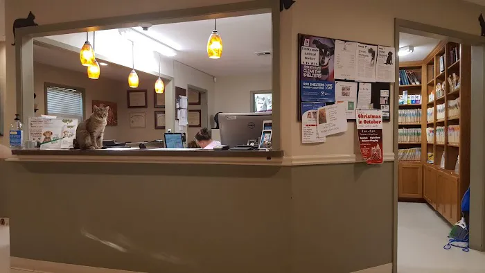 Salado Veterinary Hospital & Urgent Care Picture 3