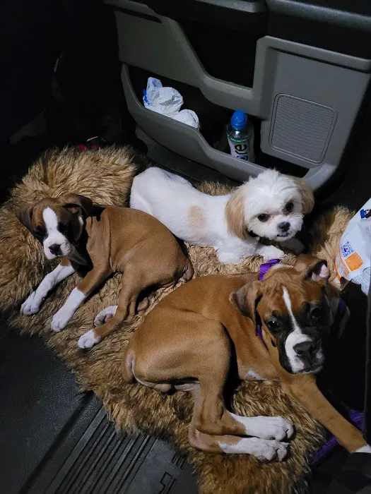 Salado Veterinary Hospital & Urgent Care Picture 9