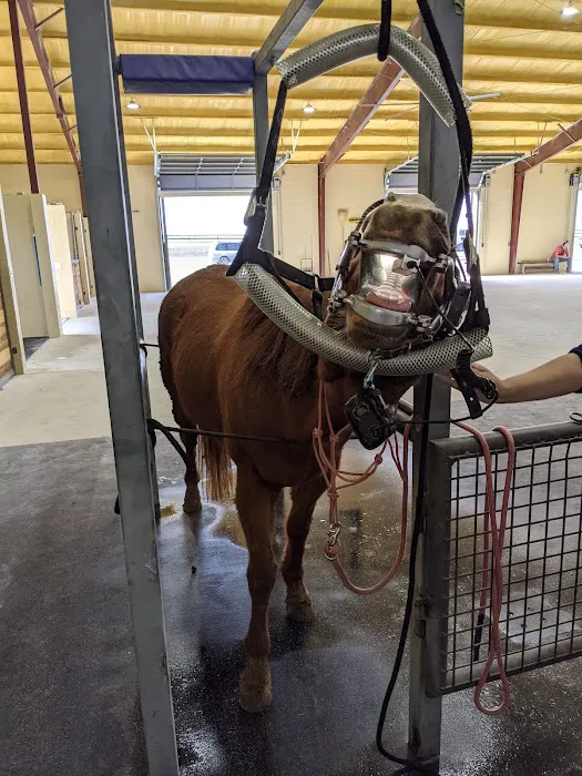 Brazos Valley Equine Hospitals Picture 1