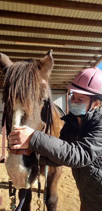 Brazos Valley Equine Hospitals Picture 6