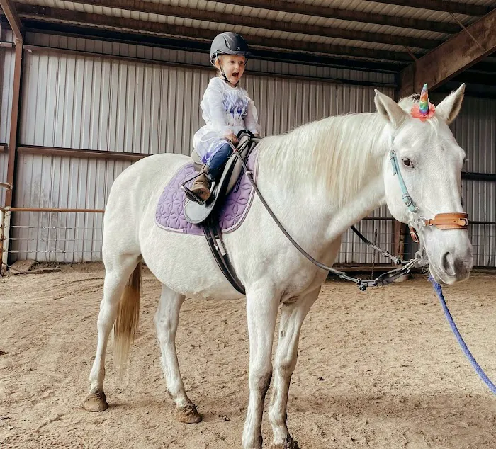 Brazos Valley Equine Hospitals Picture 9