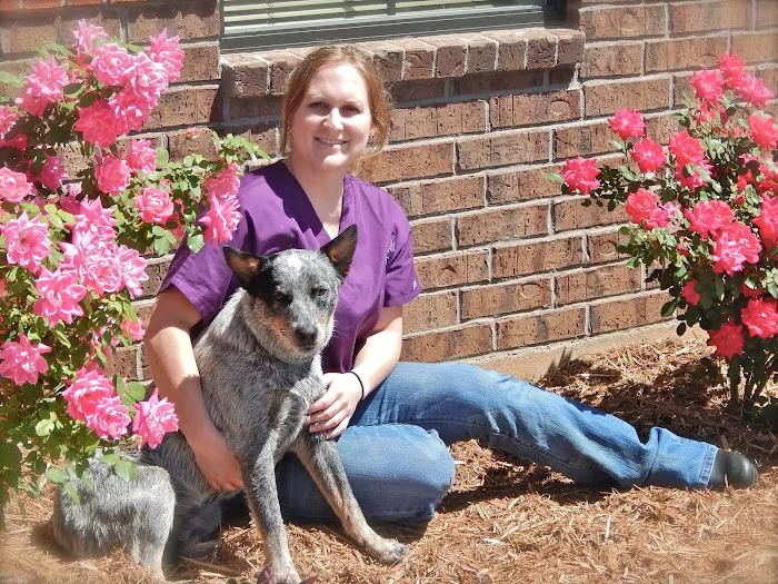All Cypress Veterinary Hospital Picture 5