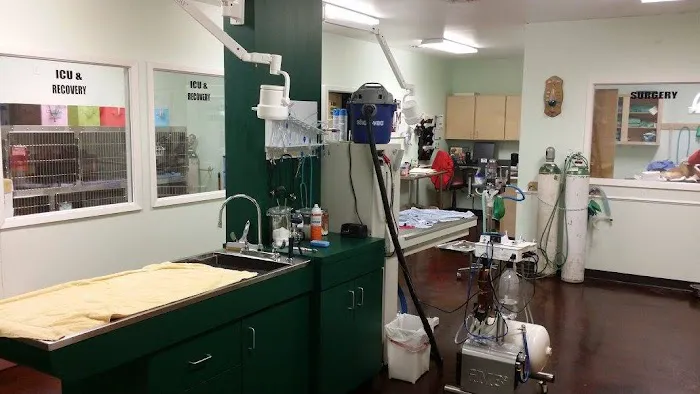 All Cypress Veterinary Hospital Picture 7