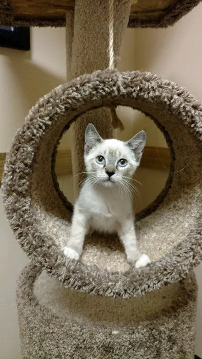 All Cypress Veterinary Hospital Picture 10