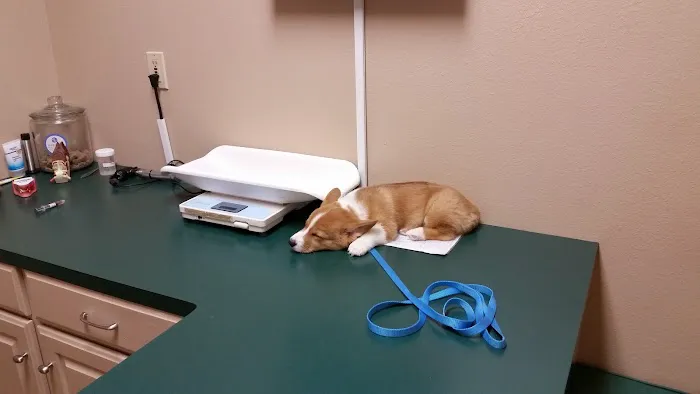 Marshall Animal Hospital Picture 1