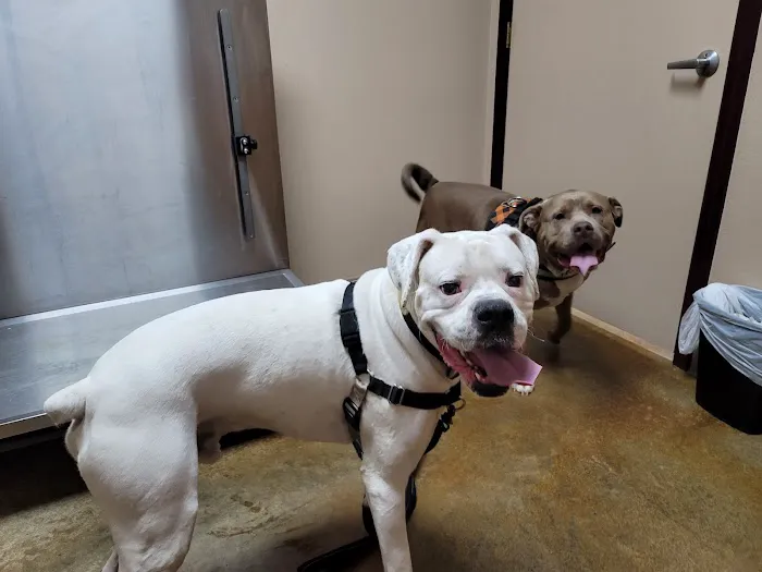 Marshall Animal Hospital Picture 2