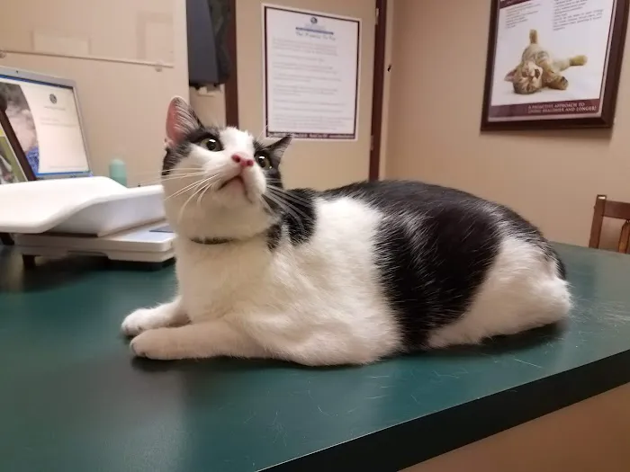 Marshall Animal Hospital Picture 3