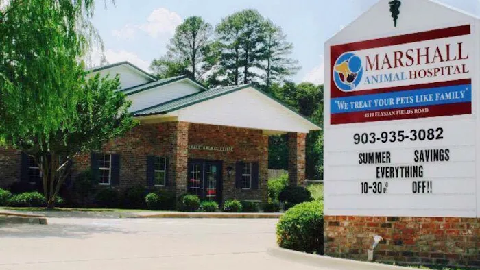 Marshall Animal Hospital Picture 10