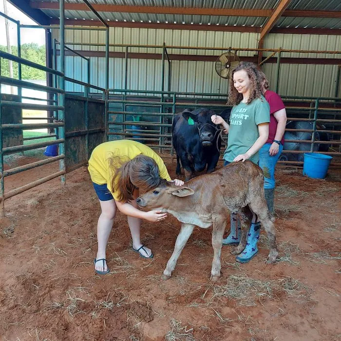 McClendon Veterinary Services Picture 4