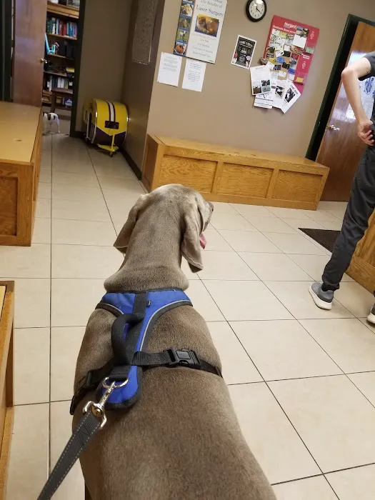 McClendon Veterinary Services Picture 5