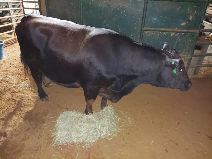McClendon Veterinary Services Picture 2