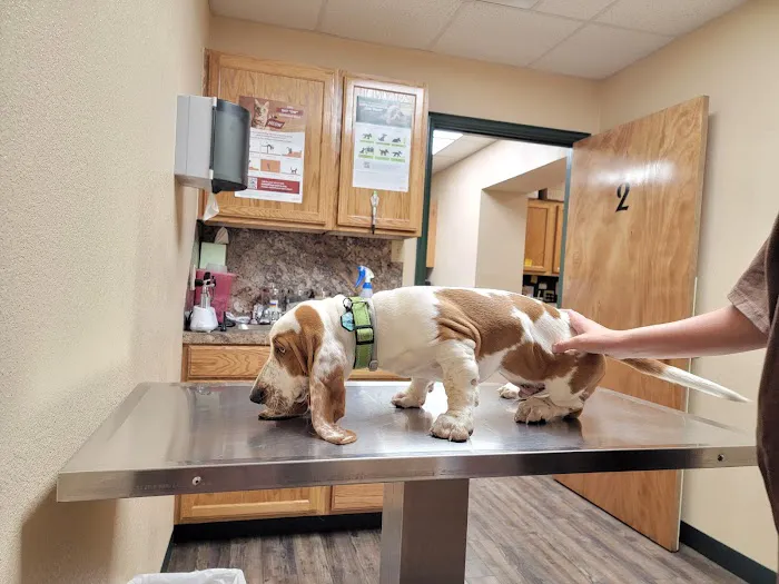 McClendon Veterinary Services Picture 6