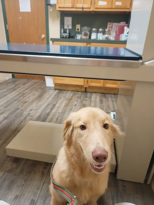 McClendon Veterinary Services Picture 8