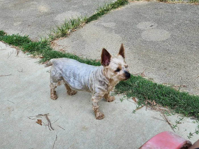 McClendon Veterinary Services Picture 9