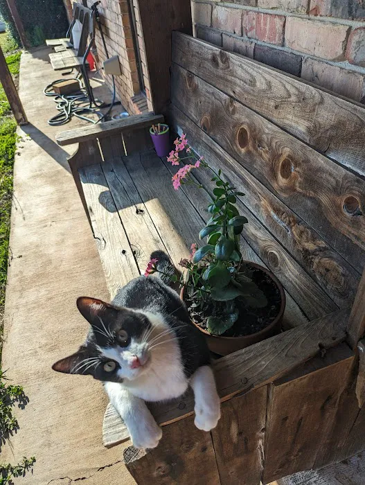 Bradley Veterinary Clinic Picture 1