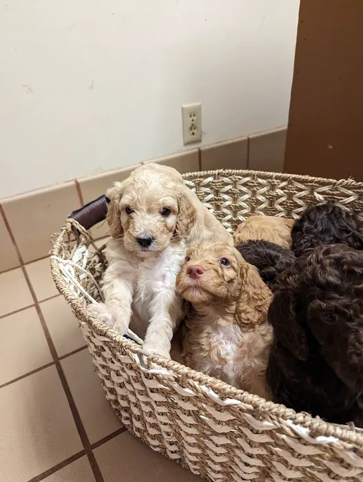 Bradley Veterinary Clinic Picture 3