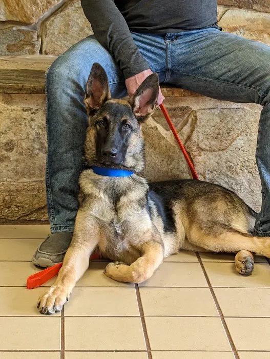 Bradley Veterinary Clinic Picture 10
