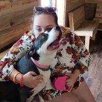 Tiller Veterinary Clinic ico
