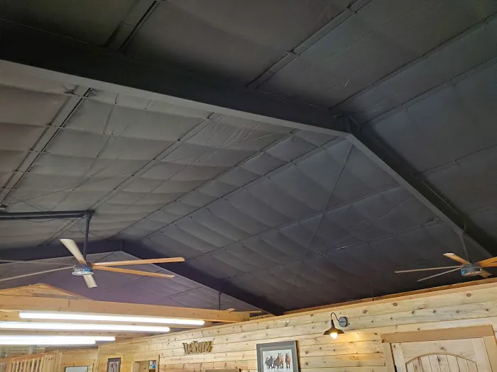 Tiller Veterinary Clinic Picture 2