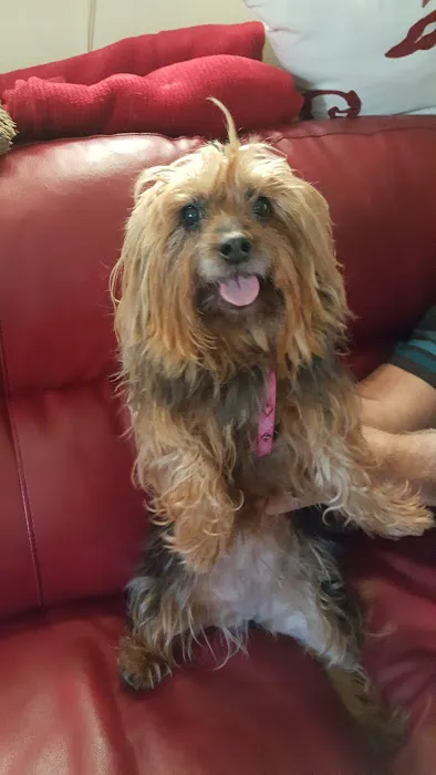 Tiller Veterinary Clinic Picture 9