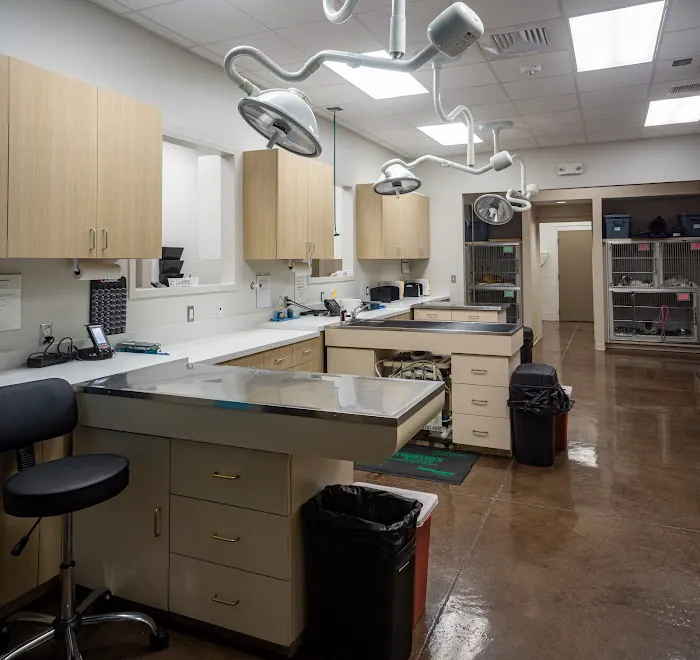 Fisher Animal Hospital Picture 4