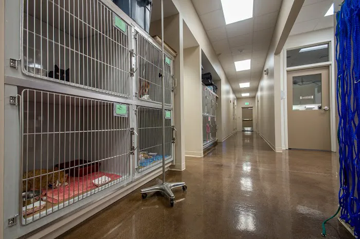 Fisher Animal Hospital Picture 8