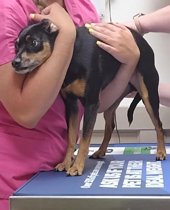 Helton Plaza Veterinary Hospital Picture 7