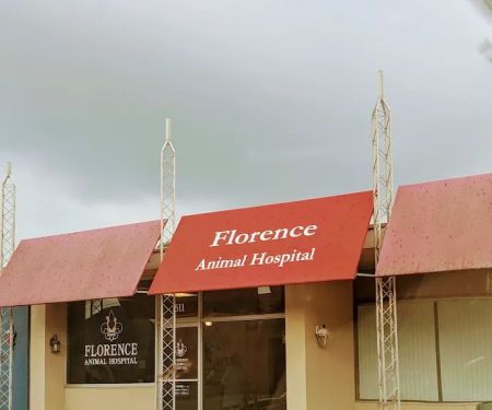 Florence Animal Hospital