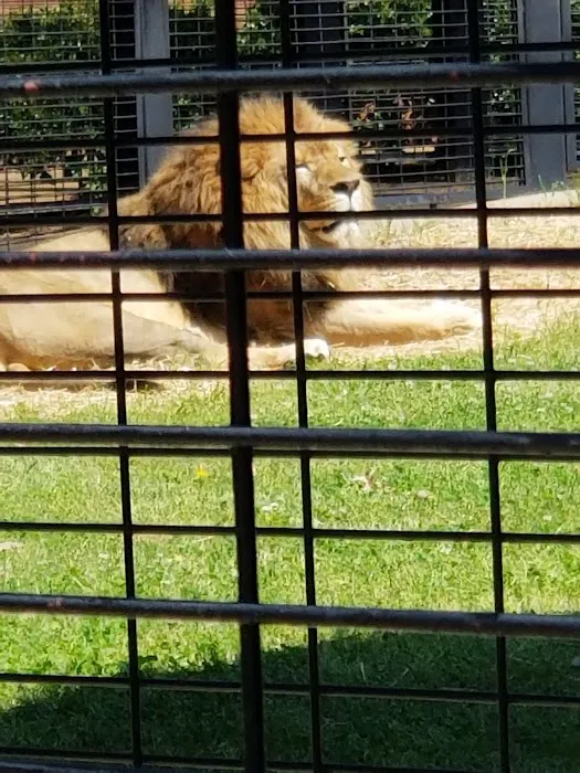 Florence Animal Hospital Picture 2