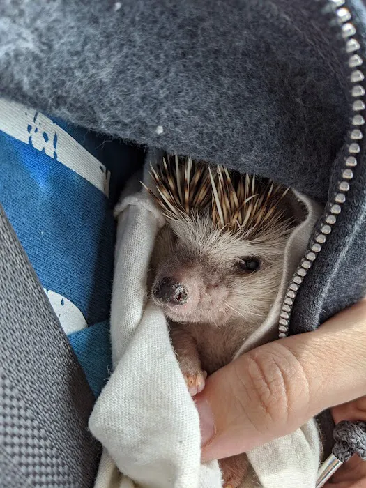 Florence Animal Hospital Picture 10