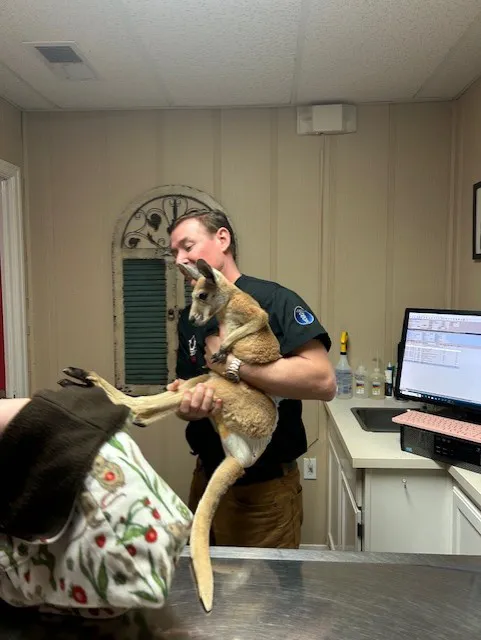 Florence Animal Hospital Picture 9