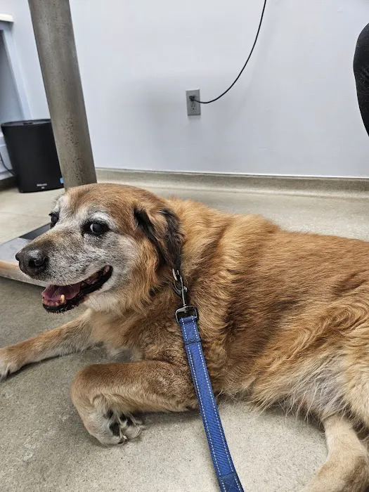 Shoals Animal Hospital Picture 5