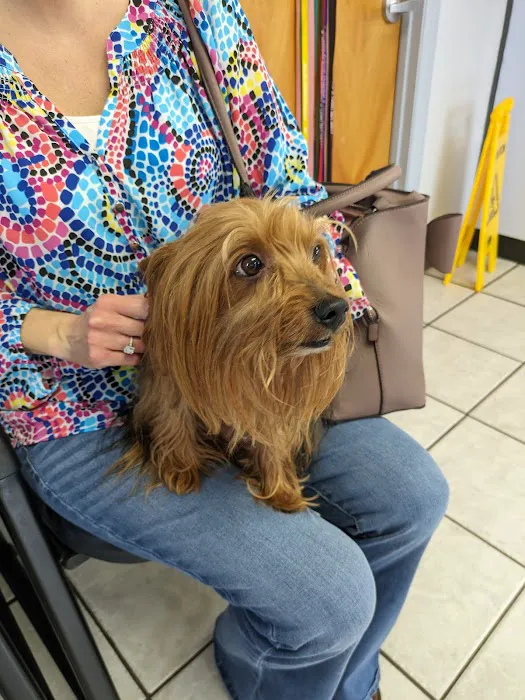 Shoals Animal Hospital Picture 1