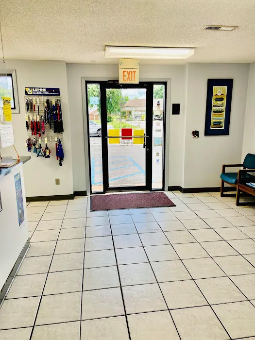 Shoals Animal Hospital Picture 7