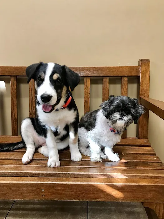 North Alabama Animal Hospital + Pet Resort Picture 1