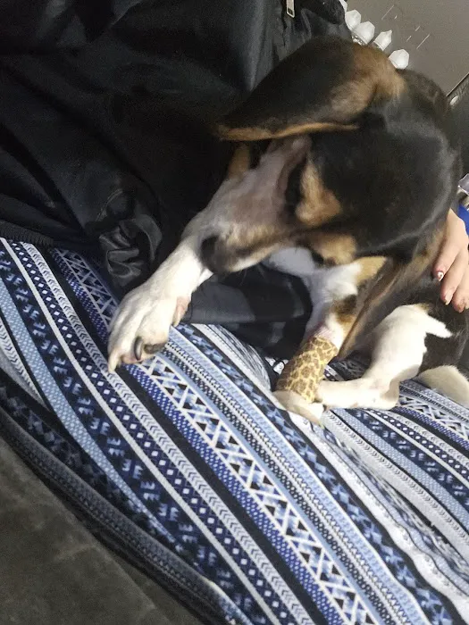 Macon Trousdale Veterinary Clinic Picture 5