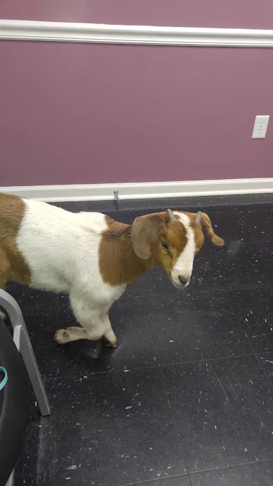 Macon County Veterinary Hospital Picture 9