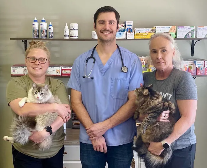 Westmoreland Veterinary Clinic Picture 6