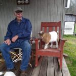 Villanow Animal Clinic