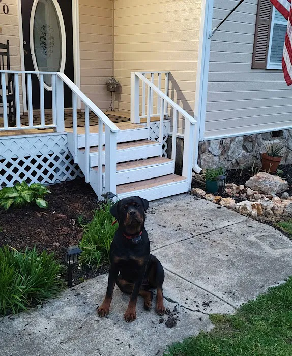Villanow Animal Clinic Picture 4