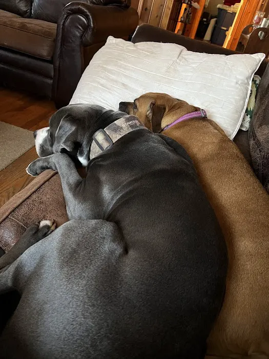 My Kids Have Paws Veterinary Services Picture 7