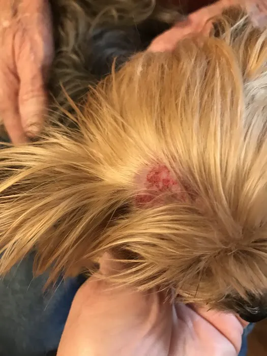 Brainerd Hills Veterinary Hospital Picture 10