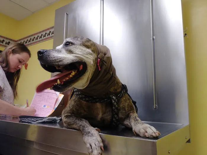 Brainerd Hills Veterinary Hospital Picture 6