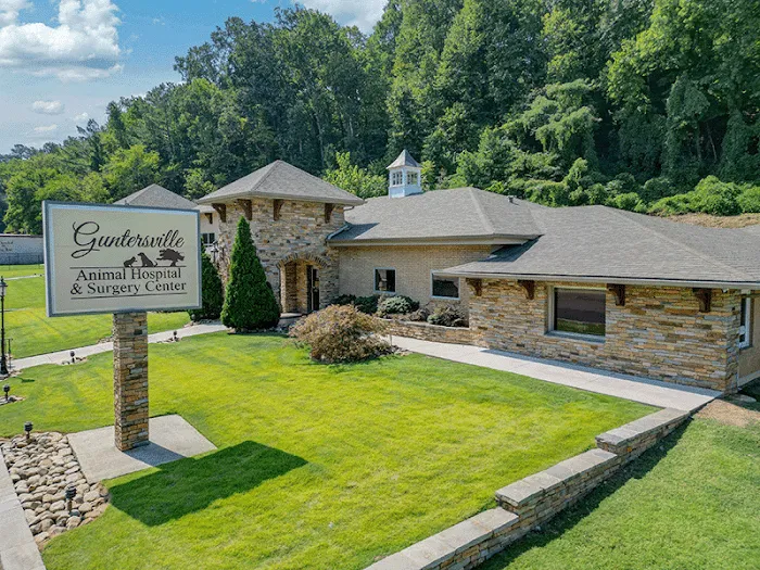 Guntersville Animal Hospital & Surgery Center Picture 10