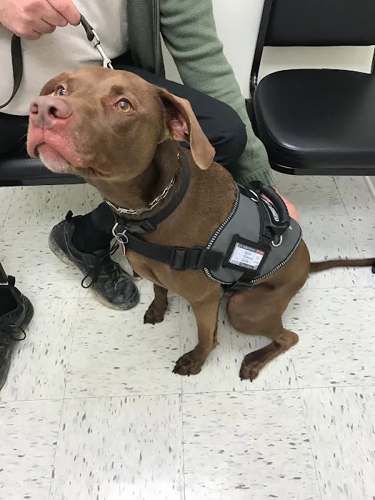Lake Guntersville Veterinary Services Picture 9