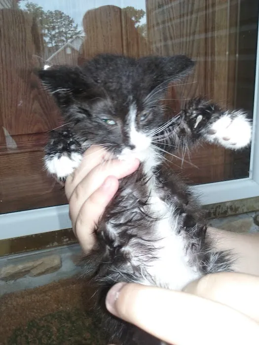 Spring Creek Animal Clinic Picture 6
