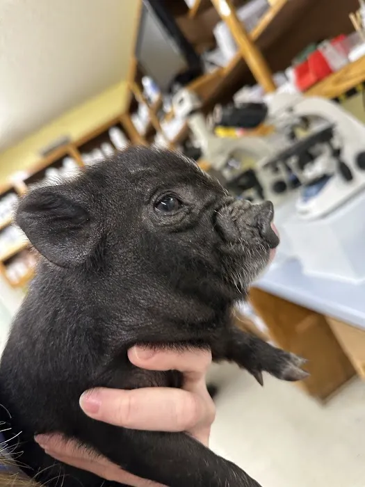 Red Barn Animal Hospital Picture 5